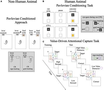 The role of reinforcement learning and value-based decision-making frameworks in understanding food choice and eating behaviors